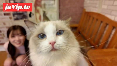 fc2ppv-4511406 - ※可愛すぎ超レア　美show女gakusei　猫カフェデートで猫にメロメロ「可愛い..」、デート後俺のムスコにも夢中だったのは二人だけの内緒
