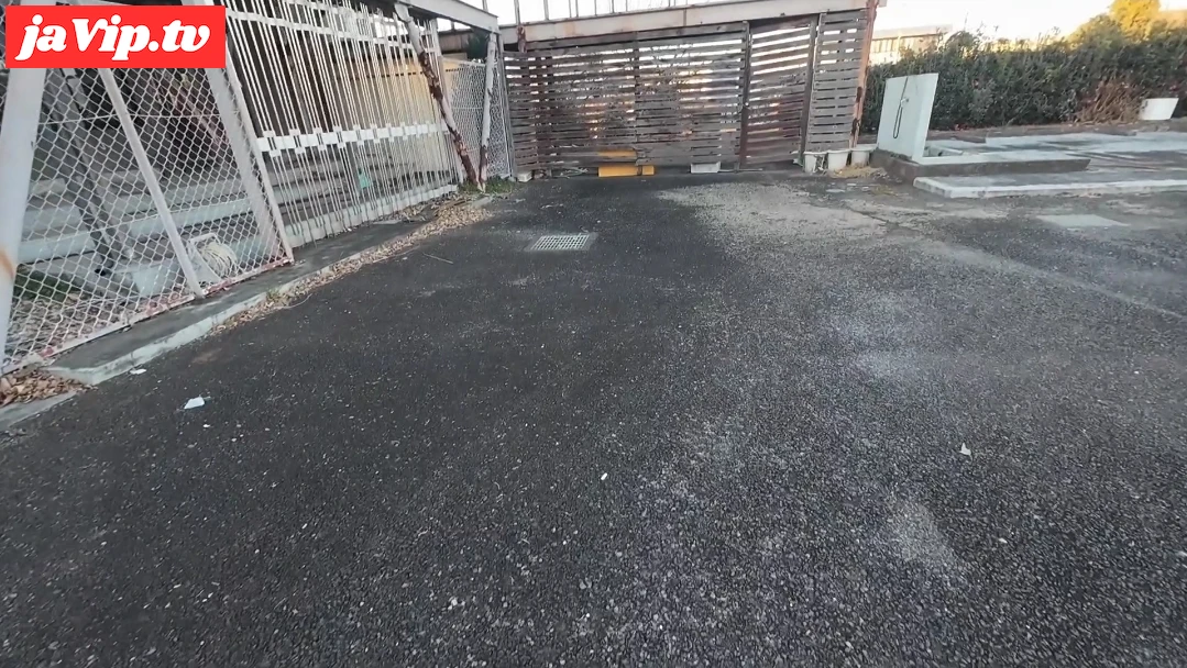 fc2ppv-4830842 - スケスケ！？丸見え！？交通量が多い道路で全裸露出したけど結構丸見えだったと思います笑 - FC2PPV動画をオンラインで視聴 - jaVip
