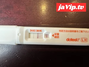 fc2ppv-4756490 - れいちゃん２６歳　危険日精液流し込み＃１