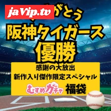fc2ppv-4755589 - 【阪神優勝記念 特別割引20000pt→3480pt】皆様に感謝を込めて“虎のガチャ袋”完全新作＋厳選商品入りの超お得福袋。