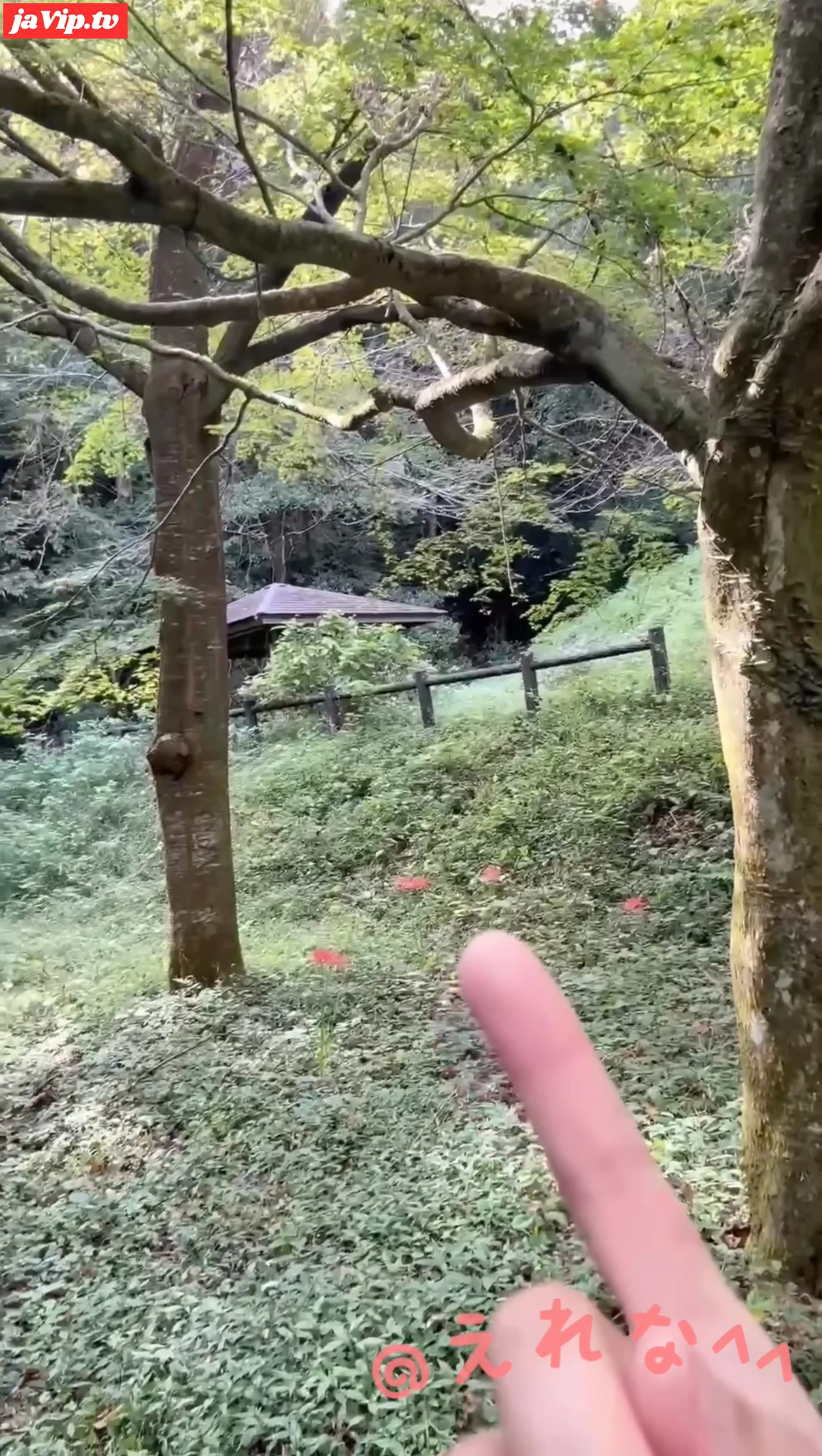 fc2ppv-4811504 - ※ハプニング動画（おまけ２）〈大〇生自撮り〉全裸オナニー中に人が来ちゃって途中で撮影を中止したお蔵入り動画です、、最後にオマケとして出品します、これが正真正銘最後の動画になります。、 - FC2PPV動画をオンラインで視聴 - jaVip